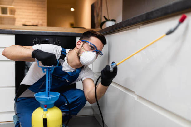 Best Bed Bug Extermination  in West Lafayette, OH