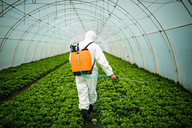 Best Best Pest Control Companies  in West Lafayette, OH