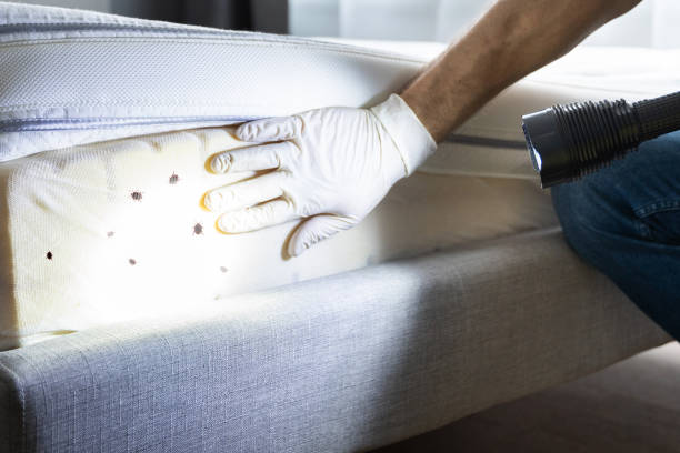 Professional Pest Control in West Lafayette, OH
