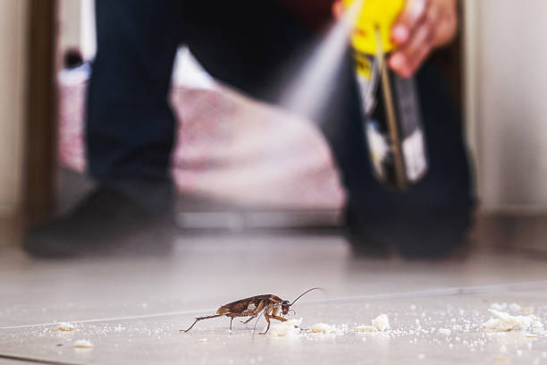 Best Local Pest Control Services  in West Lafayette, OH