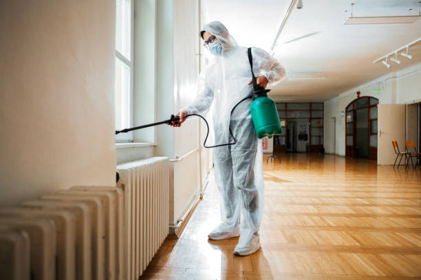 Best Termite Control Services  in West Lafayette, OH