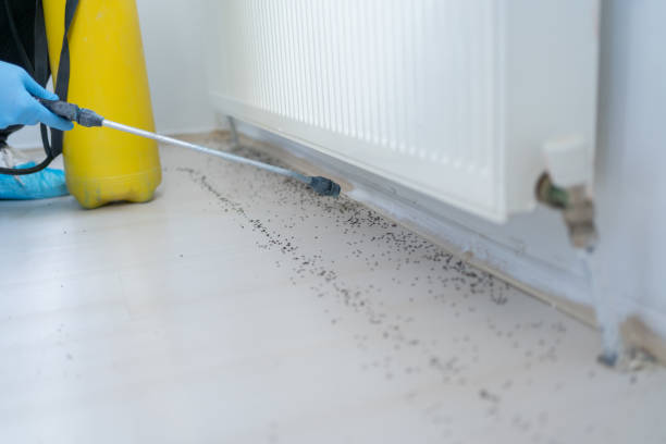 Best Spider Control Near Me  in West Lafayette, OH