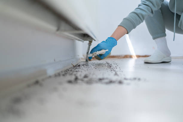 Best Mosquito Control Services  in West Lafayette, OH
